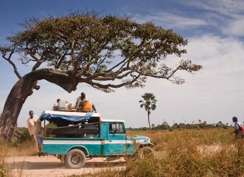 Véhicule de voyage sous un grand arbre en Casamance