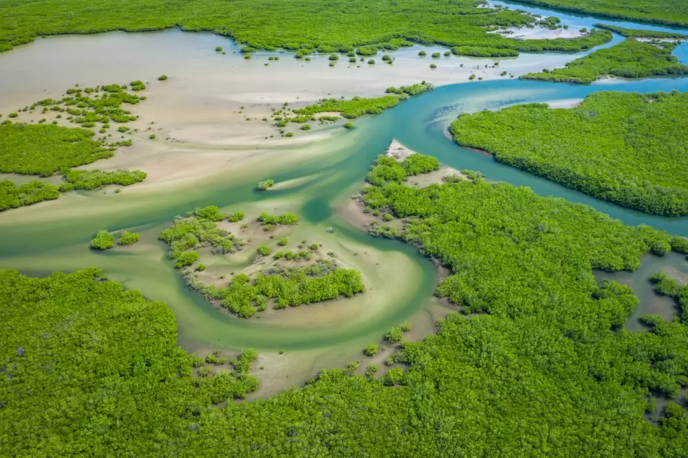 Delta du Saloum
