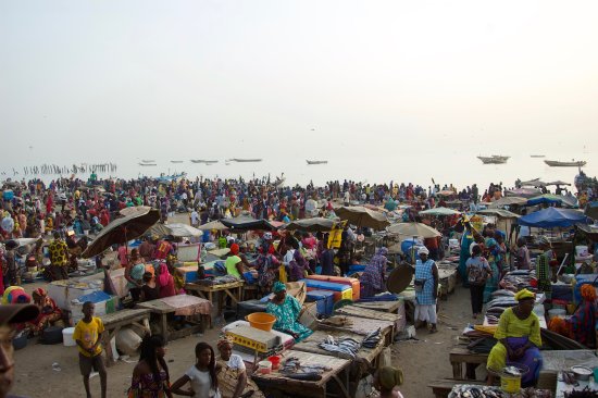 Le marché aux pêcheurs de Mbour